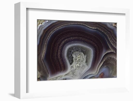 Banded Agate, Quartzsite, AZ-Darrell Gulin-Framed Photographic Print