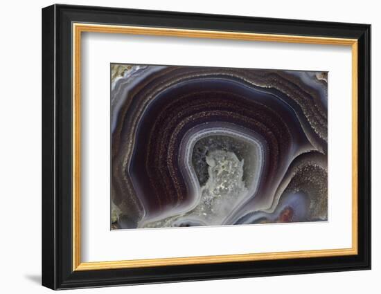 Banded Agate, Quartzsite, AZ-Darrell Gulin-Framed Photographic Print