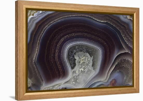 Banded Agate, Quartzsite, AZ-Darrell Gulin-Framed Premier Image Canvas