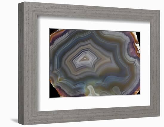 Banded Agate, Quartzsite, AZ-Darrell Gulin-Framed Photographic Print