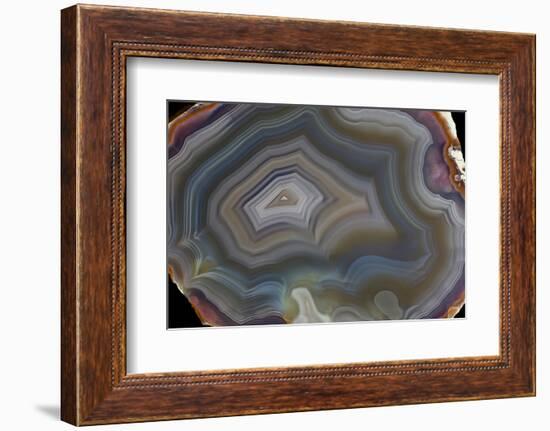 Banded Agate, Quartzsite, AZ-Darrell Gulin-Framed Photographic Print