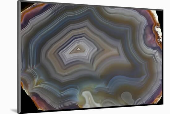 Banded Agate, Quartzsite, AZ-Darrell Gulin-Mounted Photographic Print