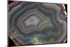 Banded Agate, Quartzsite, AZ-Darrell Gulin-Mounted Photographic Print