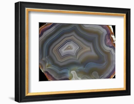 Banded Agate, Quartzsite, AZ-Darrell Gulin-Framed Photographic Print