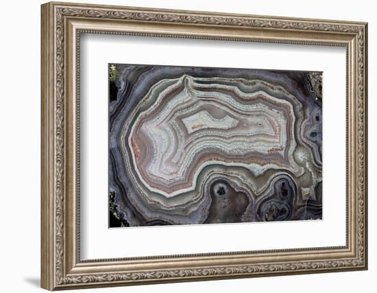 Banded Agate, Quartzsite, AZ-Darrell Gulin-Framed Photographic Print