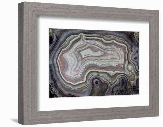 Banded Agate, Quartzsite, AZ-Darrell Gulin-Framed Photographic Print