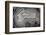 Banded Agate, Quartzsite, AZ-Darrell Gulin-Framed Photographic Print