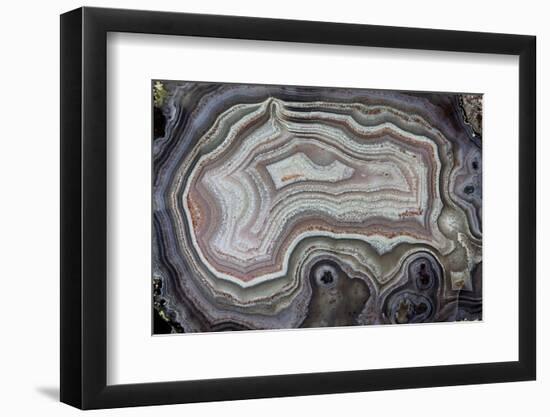 Banded Agate, Quartzsite, AZ-Darrell Gulin-Framed Photographic Print