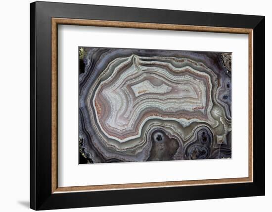 Banded Agate, Quartzsite, AZ-Darrell Gulin-Framed Photographic Print