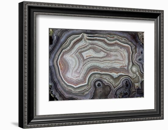 Banded Agate, Quartzsite, AZ-Darrell Gulin-Framed Photographic Print