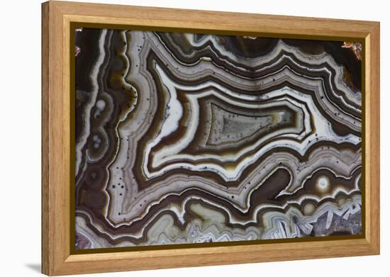 Banded Agate, Quartzsite, AZ-Darrell Gulin-Framed Premier Image Canvas