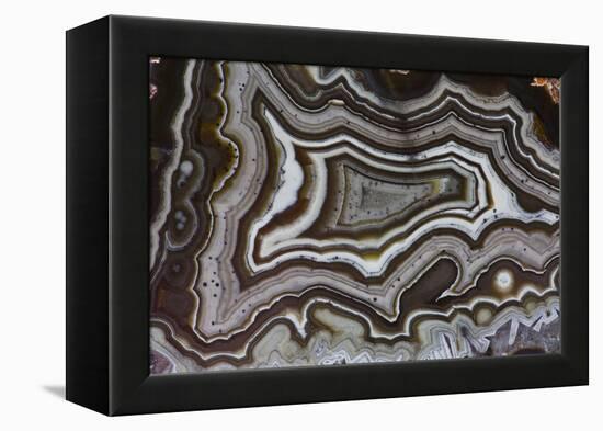 Banded Agate, Quartzsite, AZ-Darrell Gulin-Framed Premier Image Canvas