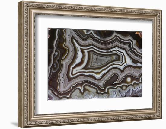 Banded Agate, Quartzsite, AZ-Darrell Gulin-Framed Photographic Print