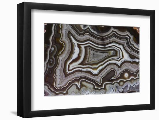 Banded Agate, Quartzsite, AZ-Darrell Gulin-Framed Photographic Print