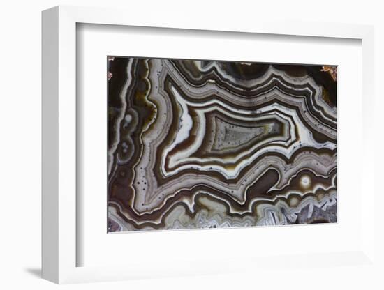 Banded Agate, Quartzsite, AZ-Darrell Gulin-Framed Photographic Print