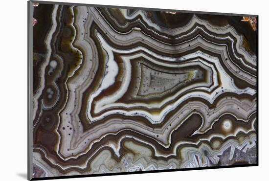 Banded Agate, Quartzsite, AZ-Darrell Gulin-Mounted Photographic Print