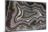 Banded Agate, Quartzsite, AZ-Darrell Gulin-Mounted Photographic Print