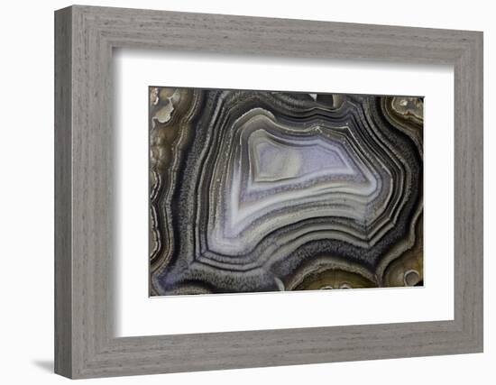 Banded Agate, Quartzsite, AZ-Darrell Gulin-Framed Photographic Print