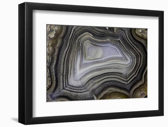 Banded Agate, Quartzsite, AZ-Darrell Gulin-Framed Photographic Print