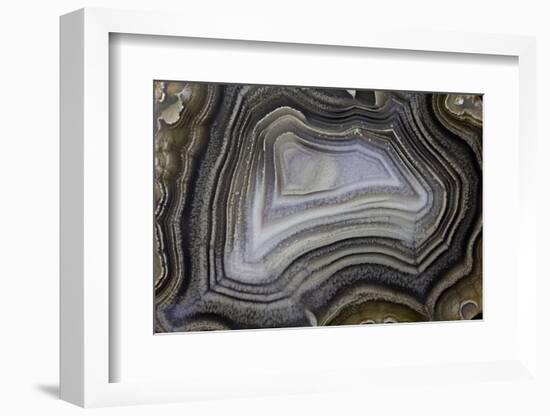 Banded Agate, Quartzsite, AZ-Darrell Gulin-Framed Photographic Print