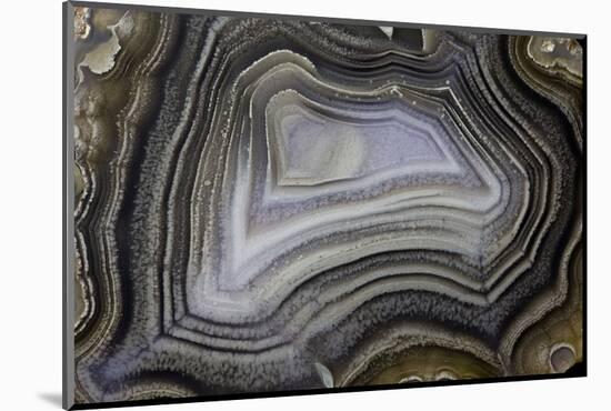 Banded Agate, Quartzsite, AZ-Darrell Gulin-Mounted Photographic Print