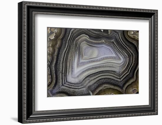 Banded Agate, Quartzsite, AZ-Darrell Gulin-Framed Photographic Print