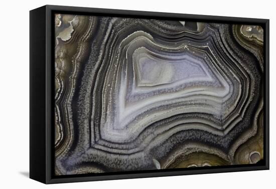 Banded Agate, Quartzsite, AZ-Darrell Gulin-Framed Premier Image Canvas