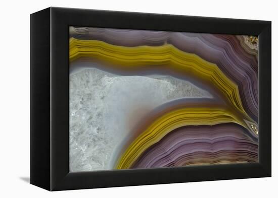 Banded Agate, Quartzsite, AZ-Darrell Gulin-Framed Premier Image Canvas