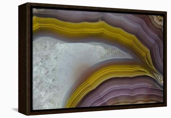Banded Agate, Quartzsite, AZ-Darrell Gulin-Framed Premier Image Canvas