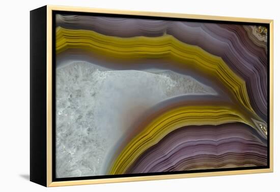 Banded Agate, Quartzsite, AZ-Darrell Gulin-Framed Premier Image Canvas