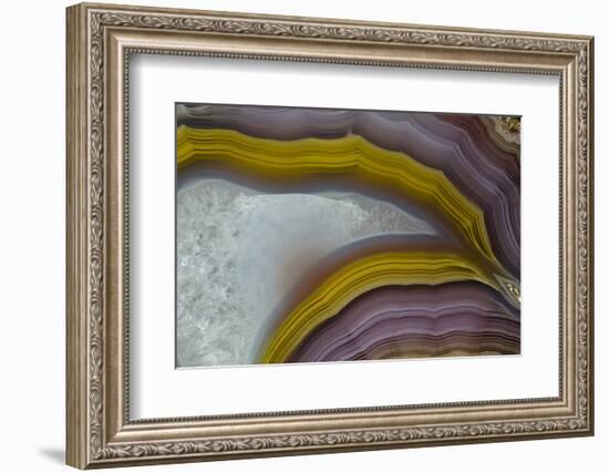 Banded Agate, Quartzsite, AZ-Darrell Gulin-Framed Photographic Print