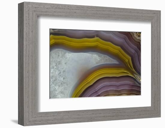 Banded Agate, Quartzsite, AZ-Darrell Gulin-Framed Photographic Print