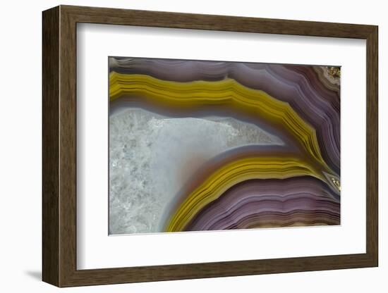 Banded Agate, Quartzsite, AZ-Darrell Gulin-Framed Photographic Print