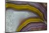 Banded Agate, Quartzsite, AZ-Darrell Gulin-Mounted Photographic Print