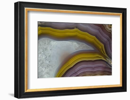 Banded Agate, Quartzsite, AZ-Darrell Gulin-Framed Photographic Print