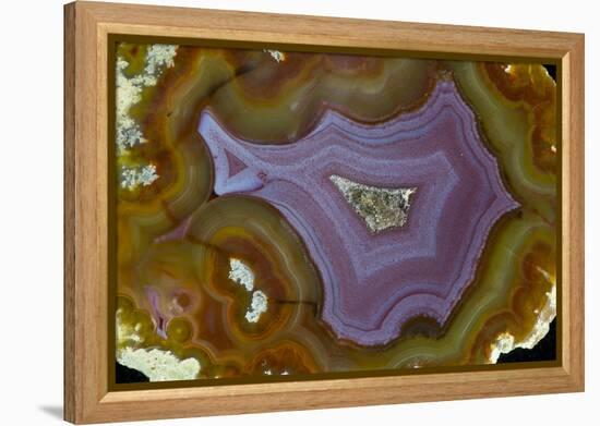 Banded Agate, Quartzsite, AZ-Darrell Gulin-Framed Premier Image Canvas