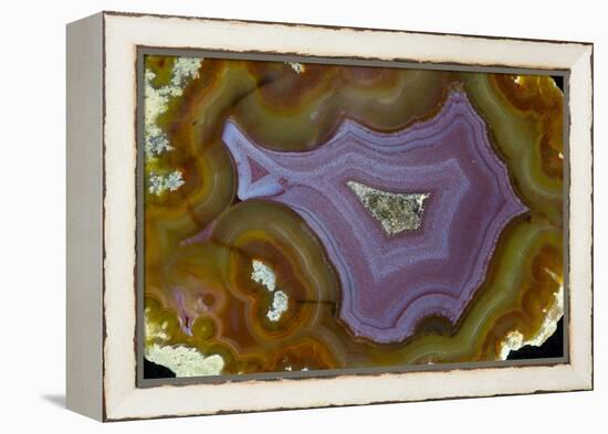 Banded Agate, Quartzsite, AZ-Darrell Gulin-Framed Premier Image Canvas