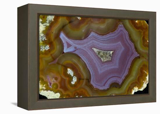 Banded Agate, Quartzsite, AZ-Darrell Gulin-Framed Premier Image Canvas