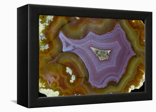 Banded Agate, Quartzsite, AZ-Darrell Gulin-Framed Premier Image Canvas