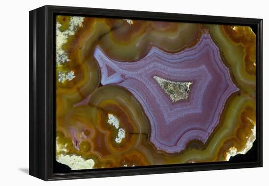 Banded Agate, Quartzsite, AZ-Darrell Gulin-Framed Premier Image Canvas