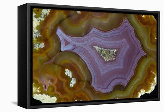 Banded Agate, Quartzsite, AZ-Darrell Gulin-Framed Premier Image Canvas