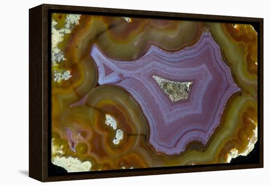 Banded Agate, Quartzsite, AZ-Darrell Gulin-Framed Premier Image Canvas