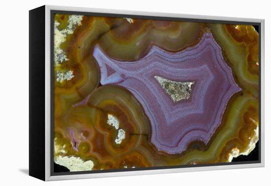 Banded Agate, Quartzsite, AZ-Darrell Gulin-Framed Premier Image Canvas