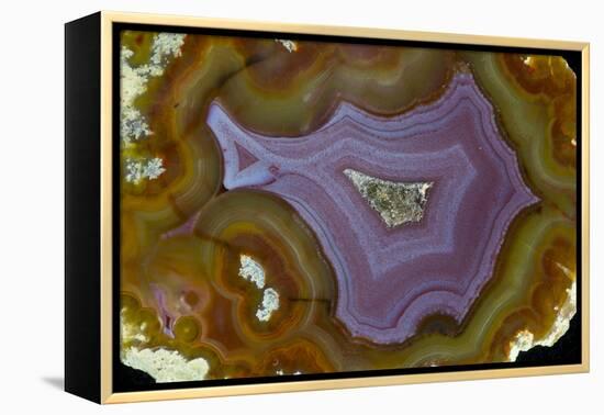 Banded Agate, Quartzsite, AZ-Darrell Gulin-Framed Premier Image Canvas