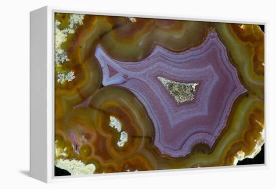 Banded Agate, Quartzsite, AZ-Darrell Gulin-Framed Premier Image Canvas