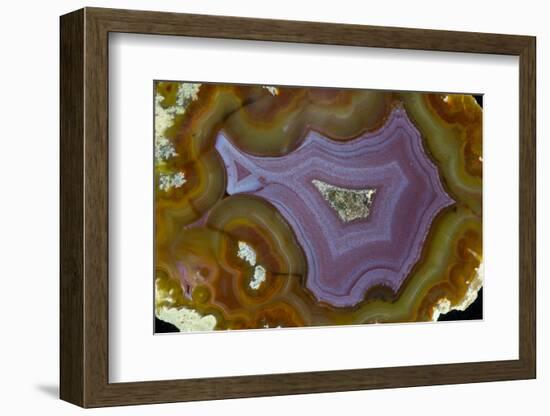 Banded Agate, Quartzsite, AZ-Darrell Gulin-Framed Photographic Print