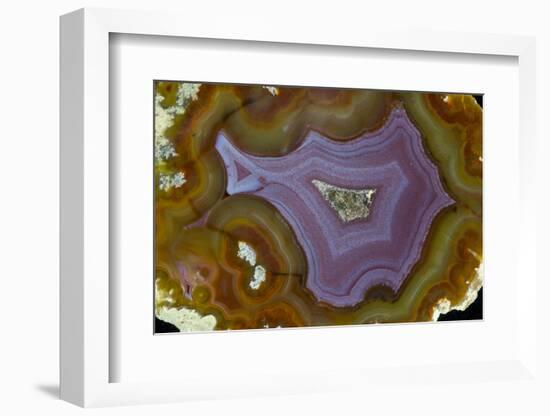 Banded Agate, Quartzsite, AZ-Darrell Gulin-Framed Photographic Print