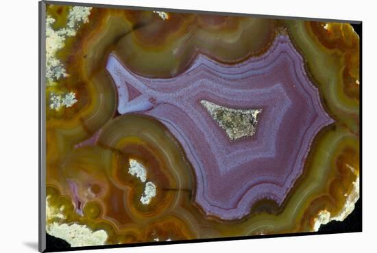 Banded Agate, Quartzsite, AZ-Darrell Gulin-Mounted Photographic Print