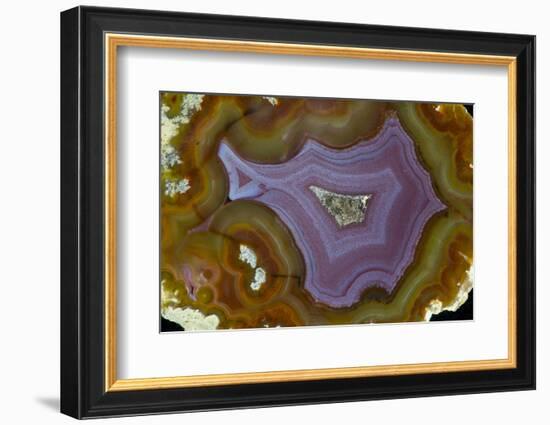 Banded Agate, Quartzsite, AZ-Darrell Gulin-Framed Photographic Print