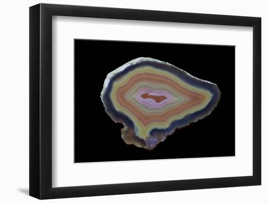 Banded Agate, Quartzsite, AZ-Darrell Gulin-Framed Photographic Print